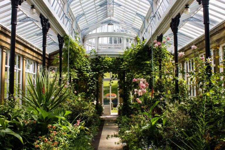 Photo of the conservatory at Broughton Hall 