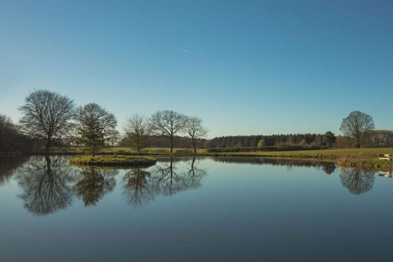 Photo of the Farleigh Wallop lake