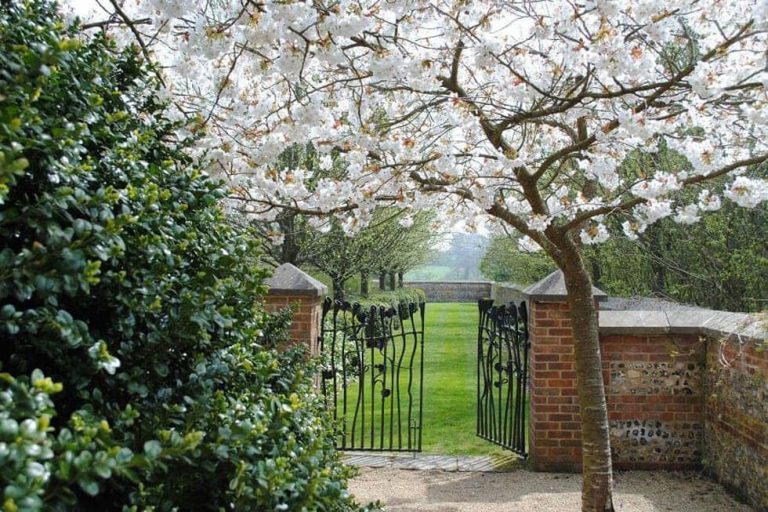 Photo of some of the gardens of Farleigh Wallop