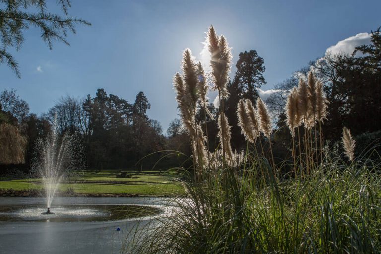 Photo of the grounds and lake at Hawkstone Hall