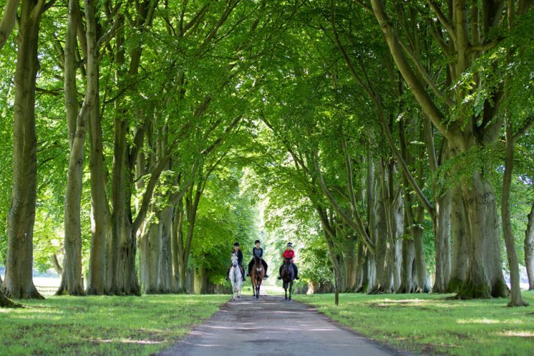 Photo of the grounds of Lucknam Park