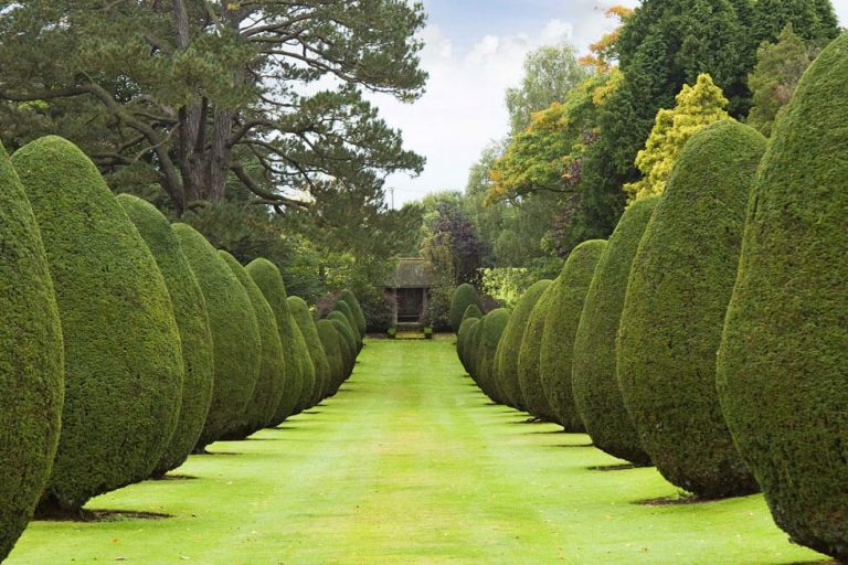 Photo of the grounds of The Elvetham