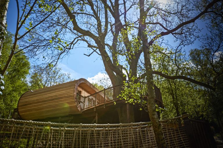 Photo of one of the treehouses at The Fish Hotel