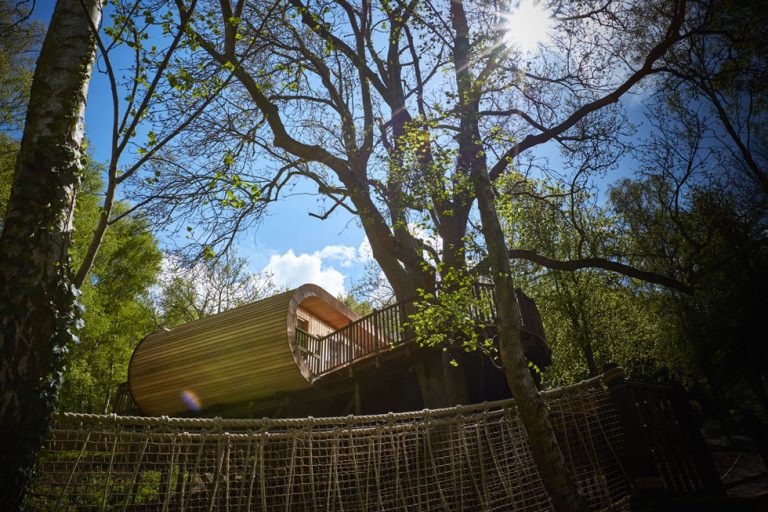 Photo of a treehouse at The Fish Hotel