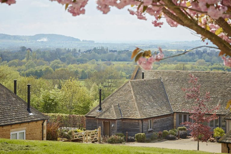 Photo looking down on The Fish Hotel