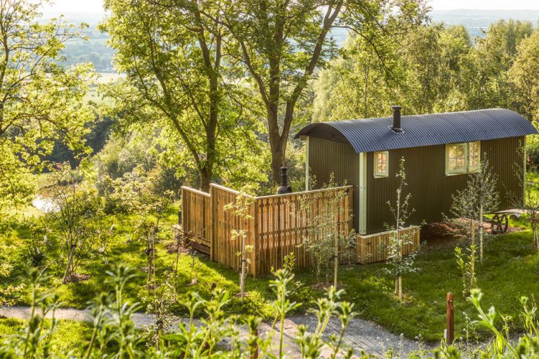 Photo of one of the tree houses at The Fish Hotel