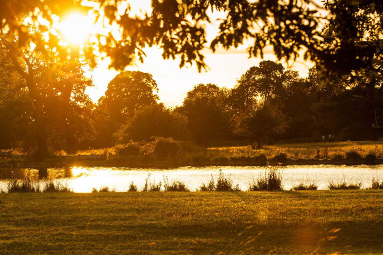 Photo of the grounds at The Langley